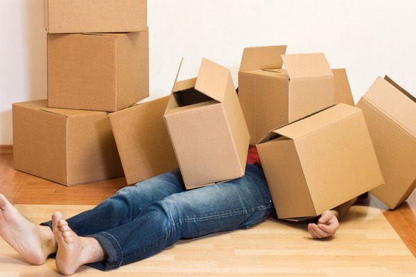 引っ越し-1024x682