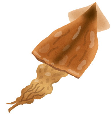 food_surume