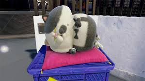 ダウンロード (1)