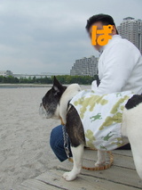 お台場海浜公園をお散歩♪
