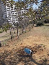 ¤ª»¶Ê⤷¤Æ¤¿¤é