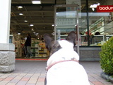 ママのお買い物待ち、、、
