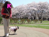 代々木公園の
