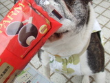 パパとママはアイスを貰ってました。。。