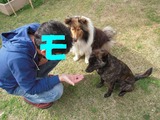 ¥ª¥ä¥Ä¥¿¥¤¥à¢ö