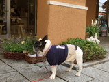 街のお花屋さんの前を通って、
