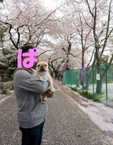 Ã«ÃæÎî±à¤Î