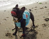 幕張の浜で\(^o^)/
