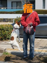 ¥¢¥ó¥Ç¥£¤Î¥¸¥ã¥ó¥×¤â·òºß!!