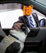 ¥Ñ¥Ñ¤ò¤ª¸«Á÷¤ê¢ö
