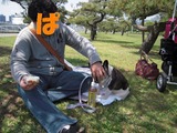 ¼ÇÀ¸¤ËºÂ¤Ã¤Æ