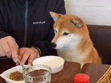 お座りして♪
