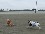 そして、ボール遊び!!