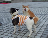 その2(^.^)