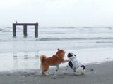 ひとっ走り!!