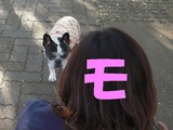 ²ñ¤¤¤ËÍè¤Æ¤¯¤ì¤Æ