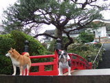 富士屋ホテルでオノボリショット!