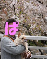 ºùºä¤Î