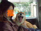 ¡Ö¥¬¥Ã¤Á¤ã¤ó¸Þ·îÇè²á¤®!!¡×