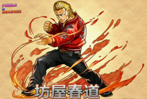 boya-300x203