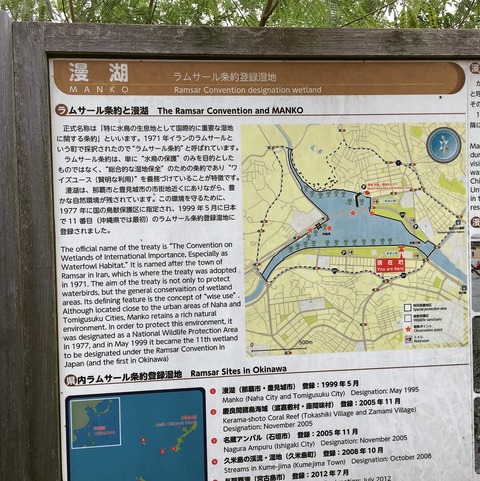 Image_51a041a