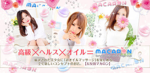 main (1)