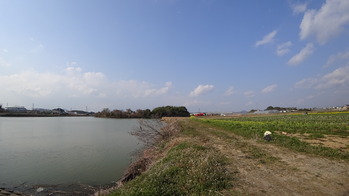 DSC00007