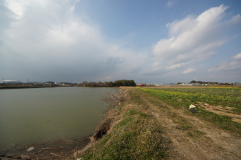 DSC04597