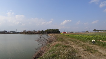DSC00008