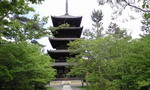 CIMG0745