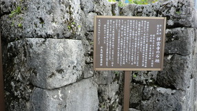 CIMG4120
