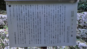 CIMG4101