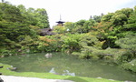 CIMG0742
