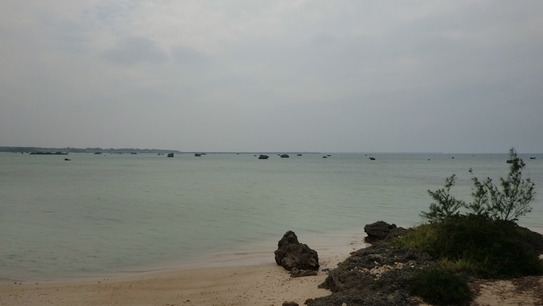 CIMG4365