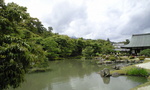 CA391068
