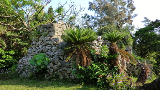 CIMG4296