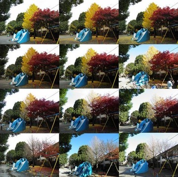 ²èÁü 2010 12 31 004