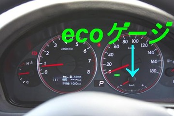 eco