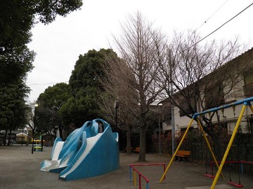 ²èÁü 2010 12 31 003