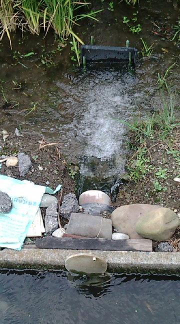 2a244545.jpg