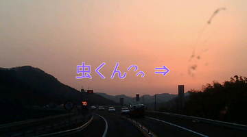 367e2dec.jpg