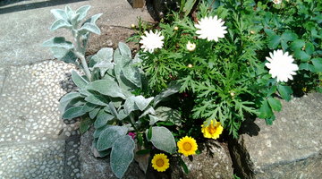 3a9f4944.jpg