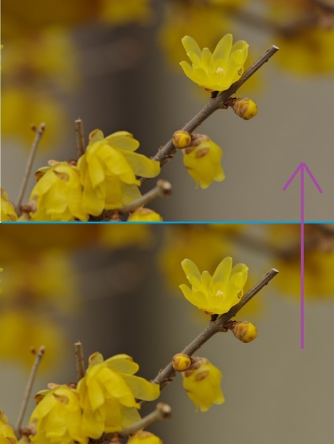 ÄɲÃ