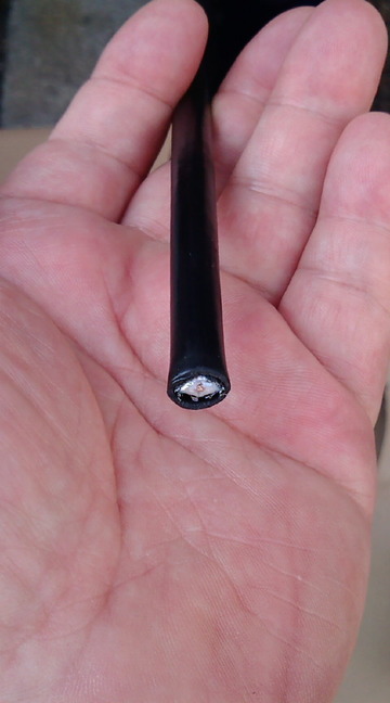 56350601.jpg