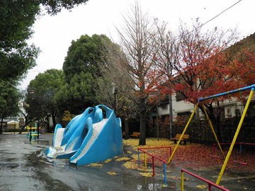 ²èÁü 2010 12 31 002