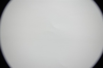 A1