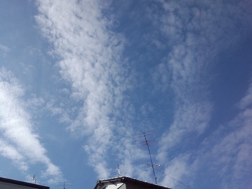 7657664d.jpg