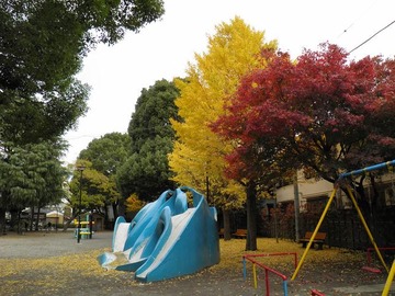 ²èÁü 2010 12 31 001