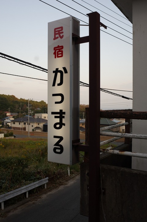 41