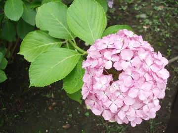 ²èÁü 2010 06 27 008